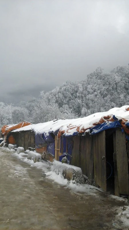 Tuyết phủ trắng ở Nghệ An như... châu Âu ảnh 2