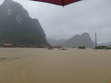 Cấp học bổng đột xuất cho sinh viên vùng lũ ảnh 1