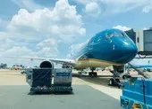 Cận cảnh chuyến bay quốc tế thương mại đầu tiên ảnh 6 Tân Sơn Nhất, Nội Bài chuẩn bị tiếp nhận chuyến bay quốc tế
