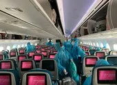 Vietnam Airlines sử dụng 8.000 tỉ đồng để làm gì? ảnh 2 Hàng không Việt 1 năm bay trong “bão”