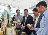 'Quảng Nam giải quyết tồn động cố hữu để đón nhà đầu tư' ảnh 4 Chủ tịch Quảng Nam gỡ vướng cho thanh niên khởi nghiệp