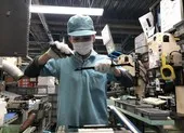 Lý do 4 doanh nghiệp bị ngưng đưa thực tập sinh sang Nhật ảnh 2 5 doanh nghiệp Việt bị ngừng đưa thực tập sinh sang Nhật