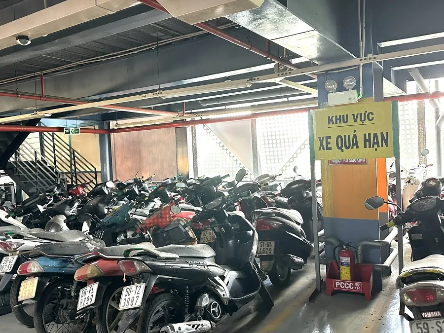 Trong khoảng 1.000 xe có khoảng 650 xe bị lãng quên trên 30 ngày đến vài năm chưa có ai đến nhận tại nhà xe sân bay Tân Sơn Nhất. Ảnh Phong Điền Trong khoảng 1.000 xe có khoảng 650 xe bị lãng quên trên 30 ngày đến vài năm chưa có ai đến nhận tại nhà xe sân bay Tân Sơn Nhất. Ảnh Phong Điền