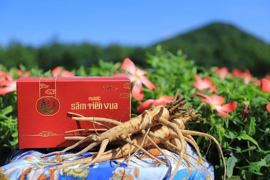Một trong số đặc sản mang đến triễn lãm. Ảnh: 100-dac-san-quang-binh-tai-tphcm.jpg