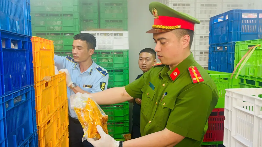 Tang vật thu giữ gồm thịt gà ủ muối và nội tạng gia cầm. Phát hiện 20 tấn gà ủ muối, đông lạnh 'bẩn' trong kho ở Hà Nội