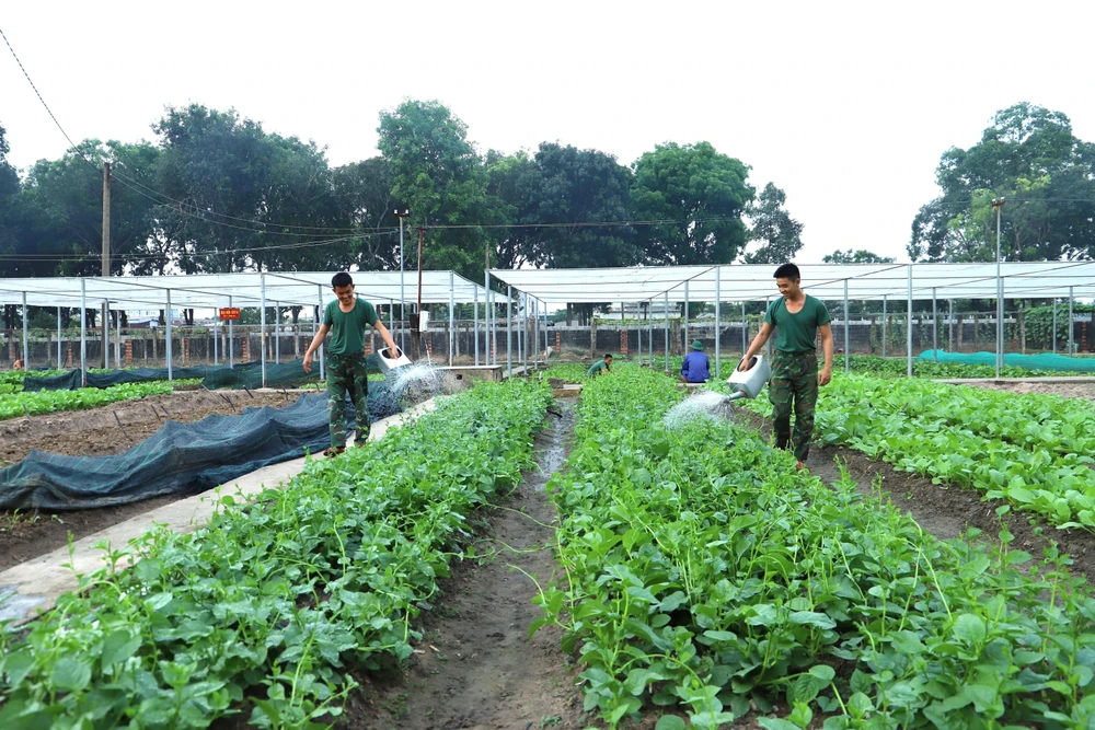 Quân đội nhân dân Việt Nam không ngừng xây dựng “thế trận lòng dân” vững chắc, giúp nhân dân phát triển sản xuất, khắc phục hậu quả thiên tai, thảm họa; giữ vững phẩm chất cao đẹp của Bộ đội Cụ Hồ. dieu-binh-30-4-2.jpg