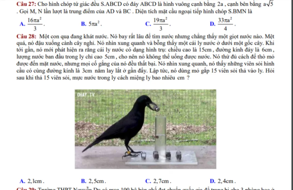 Thú vị chuyện 'Con quạ thông minh' vào đề thi toán ảnh 1 Thú vị chuyện 'Con quạ thông minh' vào đề thi toán ảnh 1