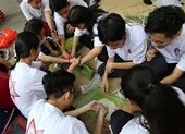 Cô hiệu trưởng phụ học trò bán bao lì xì gây quỹ ảnh 4 Học sinh Trưng Vương gói bánh chưng tặng trẻ em mồ côi