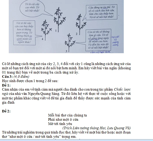 Gợi ý giải đề thi môn Văn tuyển sinh lớp 10 tại TP.HCM ảnh 3