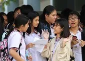 TP.HCM công bố đáp án chính thức môn Toán, tiếng Anh ảnh 2 Dự đoán điểm thi lớp 10 tại TP.HCM