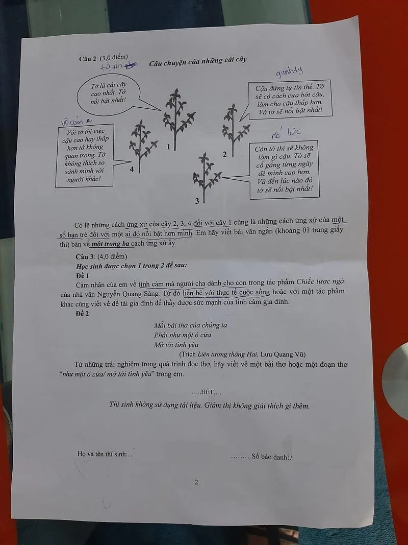 Tuyển sinh 10 tại TP.HCM: Đáp án môn Văn và Văn chuyên ảnh 2