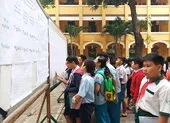 Tuyển sinh lớp 6 chuyên Trần Đại Nghĩa: 1 'chọi' 8 ảnh 2 Bắt đầu đăng ký tuyển sinh vào chuyên Trần Đại Nghĩa