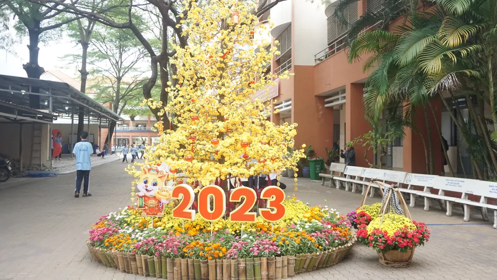 Cành mai rực rỡ khiến không gian Trường THPT Trần Hưng Đạo tràn ngập sắc xuân. Cành mai rực rỡ khiến không gian Trường THPT Trần Hưng Đạo tràn ngập sắc xuân.