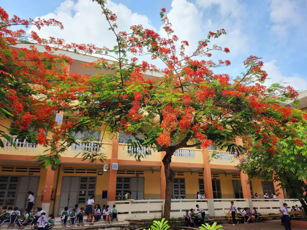Những ngày nay Trường THCS Tân Túc trở thành điểm &quot;check in&quot; của nhiều người.