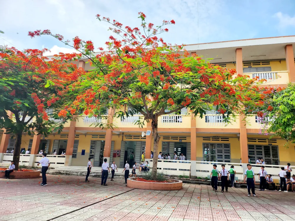 Giờ ra chơi, gốc phượng tập trung nhiều học sinh tới nô đùa.