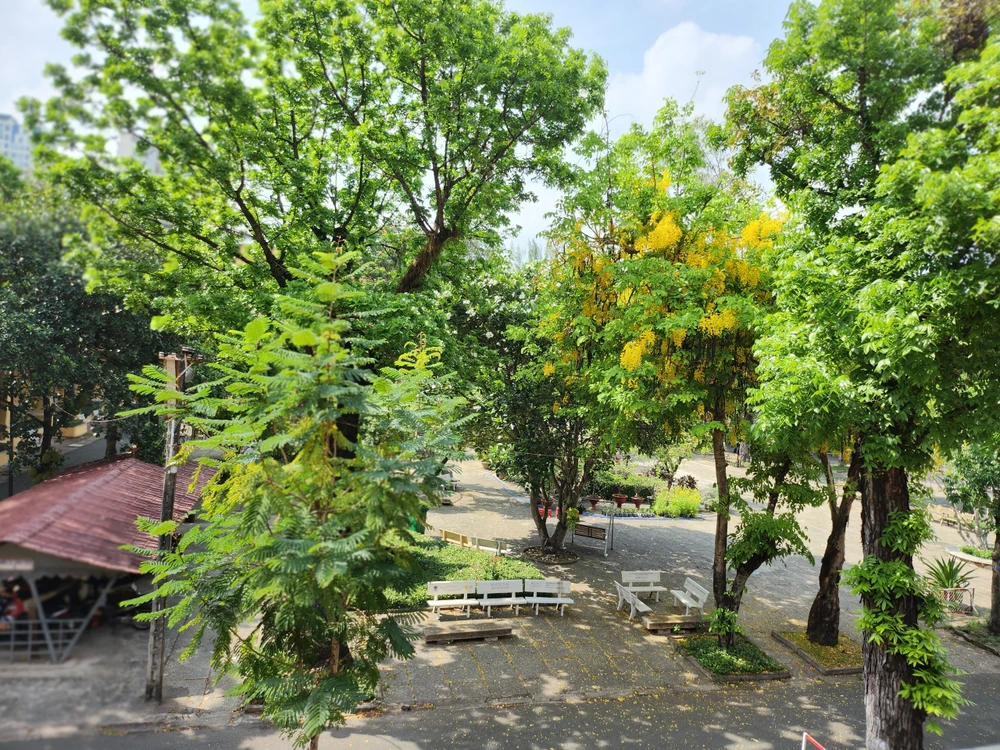 Theo thống kê trường có gần 60 cây lớn, chưa kể những loại cây nhỏ lẻ được trồng xung quanh. Trong đó có 29 cây được đánh mã số để tiện theo dõi, chăm sóc.