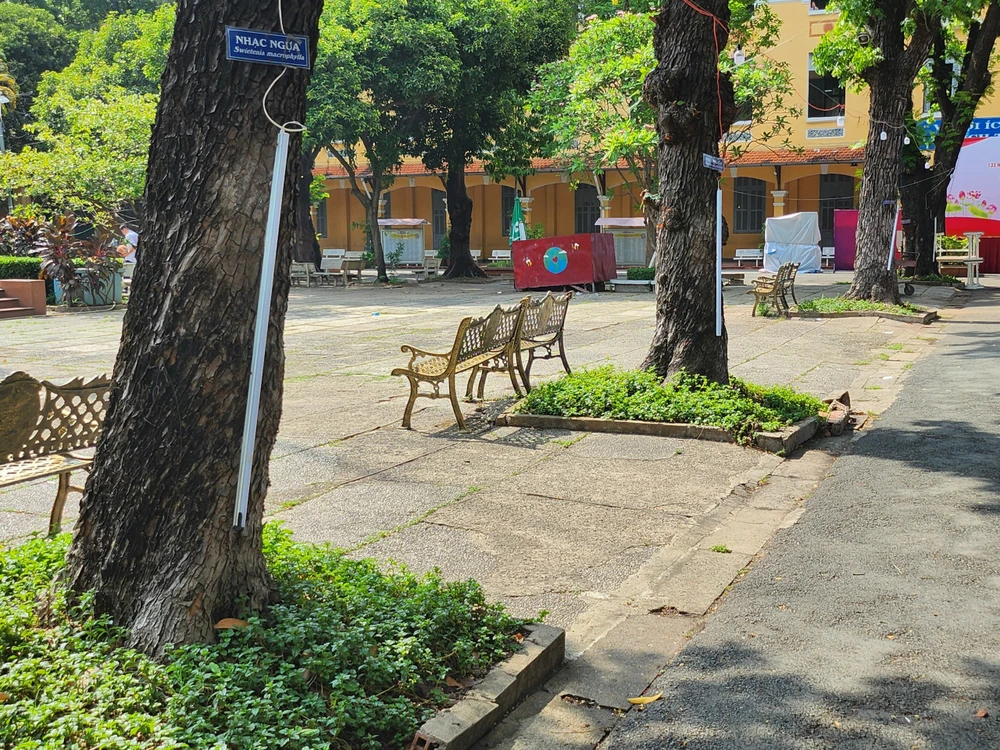 Trường ký hợp đồng với một đơn vị để được tư vấn chăm sóc cũng như bảo tồn, giữ gìn cây.