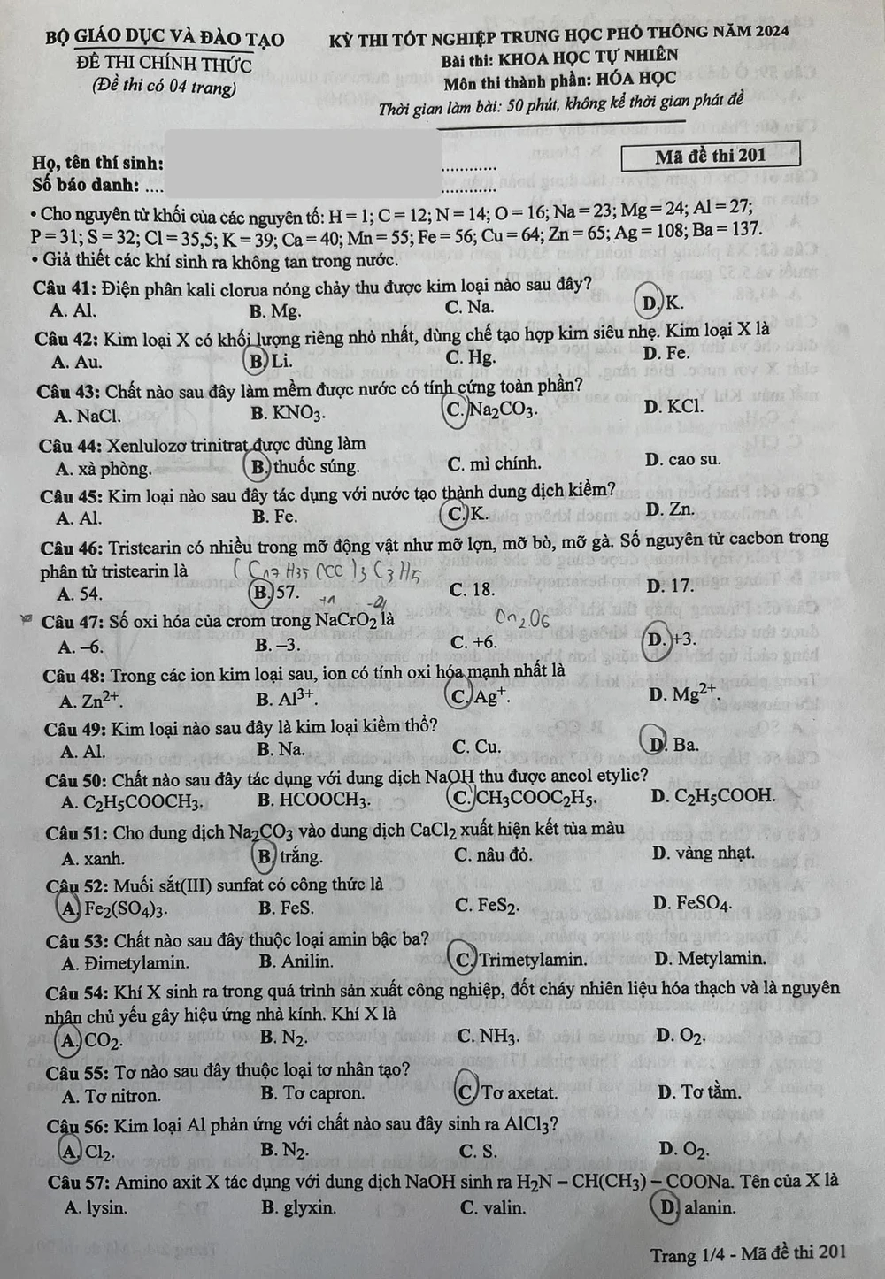 z5582205931077_f72a0a1259a4e28b9b6f8561914ebd13.jpg