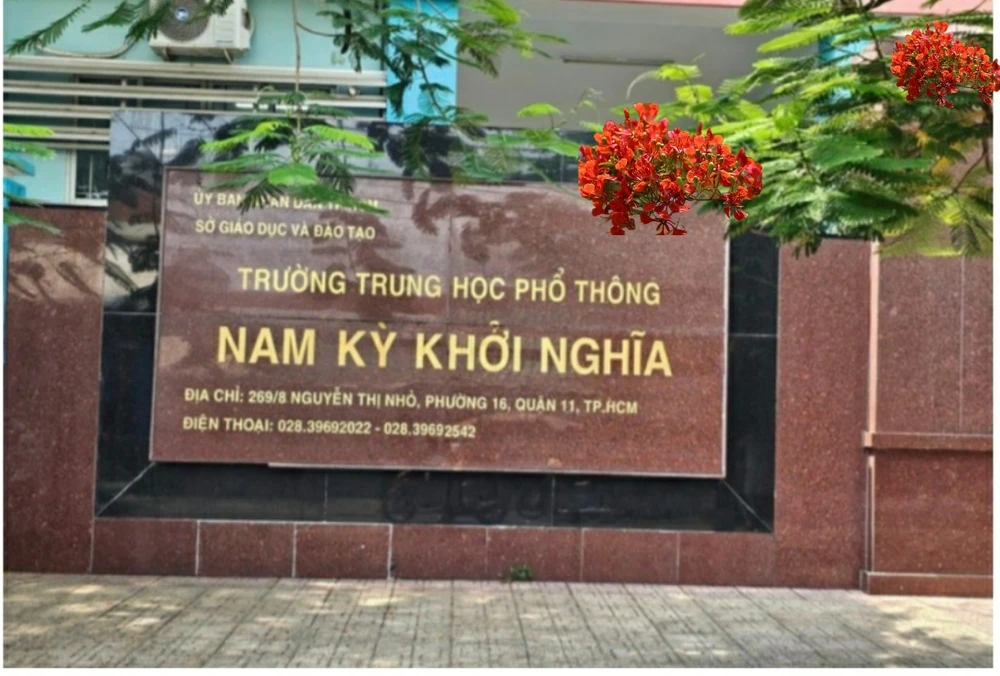 Trường THPT Nam Kỳ Khởi Nghĩa, quận 11. Ảnh: FANPAGE TRƯỜNG to-hop-mon-lop-10.jpg