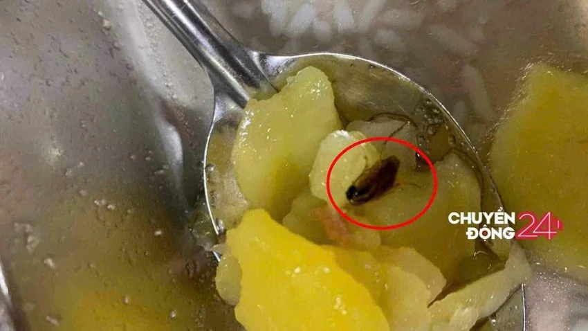 Đại học Bách Khoa Hà Nội