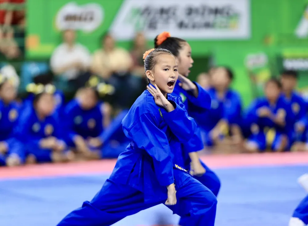 giai-vo-dich-vovinam-1.jpg
