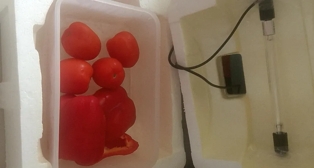 Hoặc khử trùng đồ ăn.