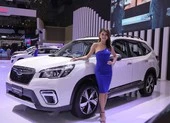 Loạt ô tô sẽ ra mắt, hứa hẹn 'bùng nổ' thị trường trong năm 2022 ảnh 4 Ô tô nhập khẩu giảm 'sốc' trong tháng giáp Tết