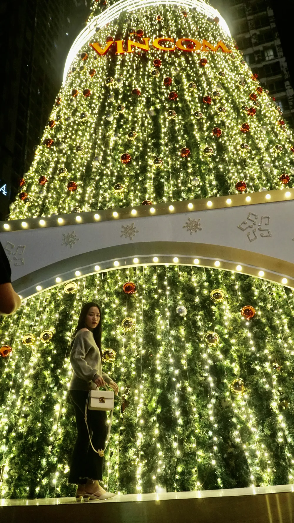 Ai cũng thích thú và rạng ngời bên cây thông trong mùa Giáng sinh.