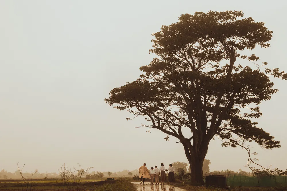 Cây ngô đồng trong bộ phim Mắt Biếc tại Huế.