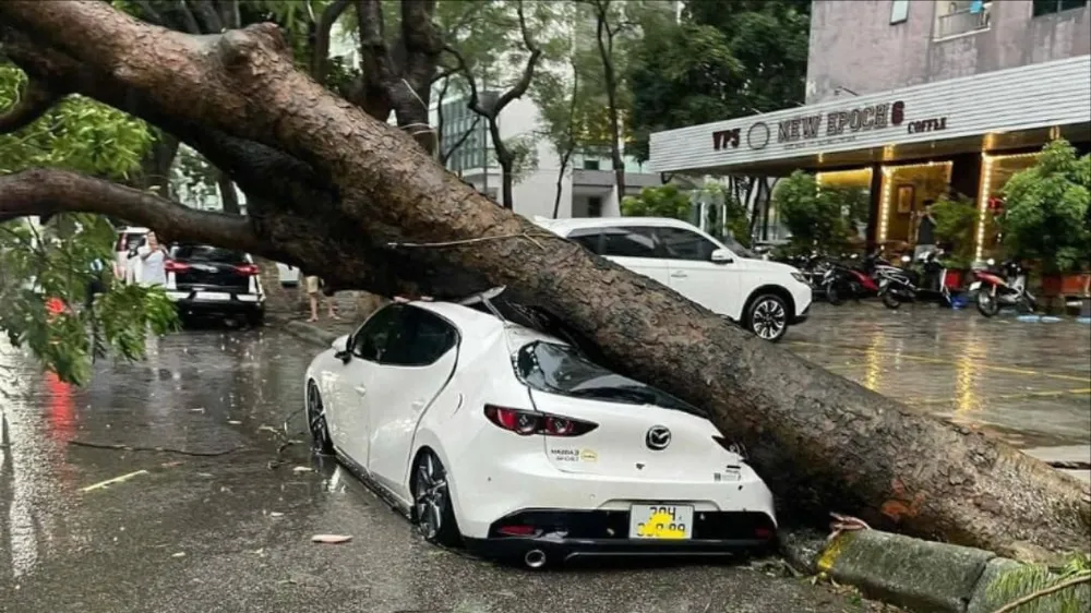 bảo hiểm bồi thường