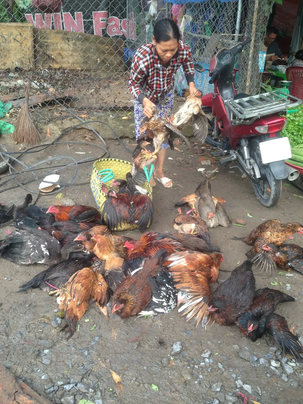 13 quận, huyện chưa báo cáo việc giải tỏa chợ ảnh 1 13 quận, huyện chưa báo cáo việc giải tỏa chợ ảnh 1