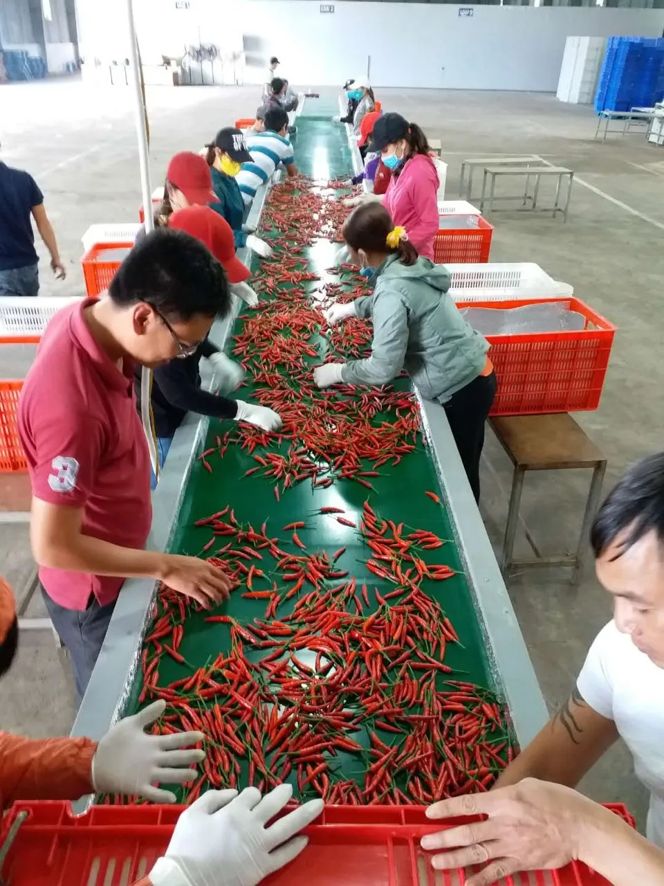 Bầu Đức chính thức mời cựu lãnh đạo ACB làm 'quân sư' ảnh 1 Bầu Đức chính thức mời cựu lãnh đạo ACB làm 'quân sư' ảnh 1