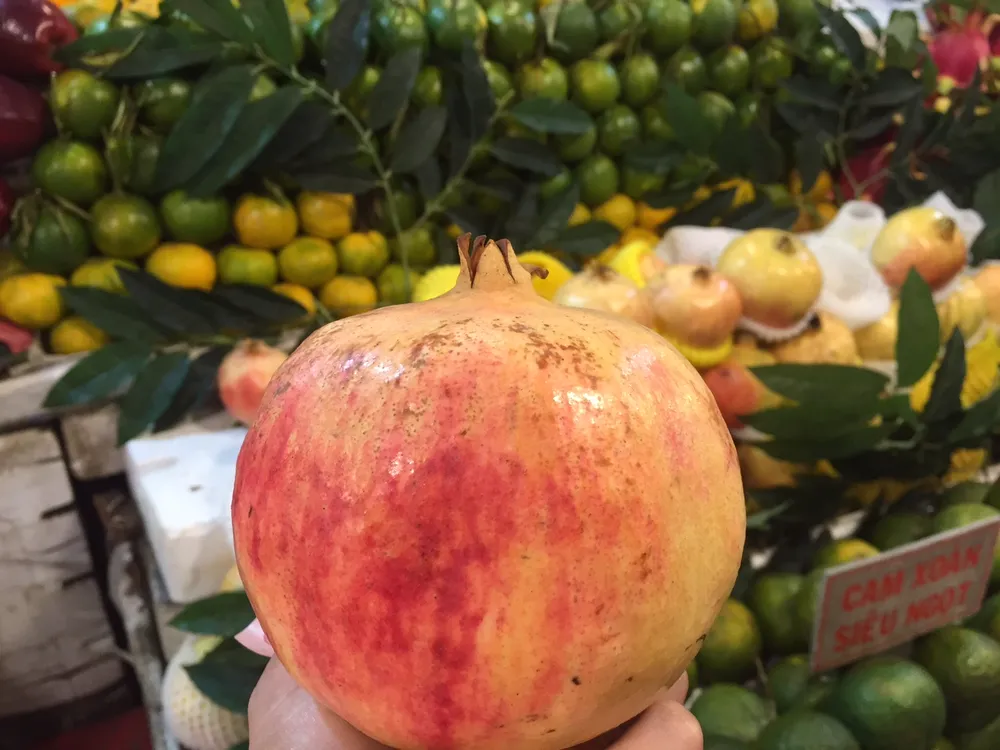 Lựu Trung Quốc, Thái Lan, Ấn Độ... 'đại náo' thị trường ảnh 1 Lựu Trung Quốc, Thái Lan, Ấn Độ... 'đại náo' thị trường ảnh 1