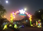 Tết Nguyên đán 2021, TP.HCM dự kiến tổ chức 179 chợ hoa ảnh 2 Khai mạc chợ hoa xuân Bình Điền tết Canh Tý 2020