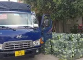 Siêu thị TP.HCM bán nông sản Hải Dương không lợi nhuận ảnh 3 Giải cứu hàng chục ngàn con gà, quả trứng... ở Hải Dương