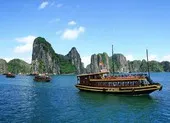 Có khách sạn vẫn 'sống khỏe' bất chấp dịch COVID-19 ảnh 3 Doanh thu khách sạn cải thiện nhờ cách ly có thu phí