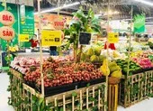 VinMart cam kết thu mua 2.000 tấn và bán vải thiều trên sàn Lazada