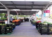 200 mặt hàng được siêu thị giảm giá từ 15% đến 50% ảnh 2 Một siêu thị đem rau Đà Lạt ra bãi xe bán với giá rẻ cực sốc