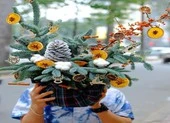 Lần đầu tiên cây thông Nga ra mắt người Việt mùa Giáng sinh ảnh 3 Nhiều người 'săn' thông cắm cành chơi Noel