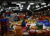 Kiểm tra 3 chợ đầu mối TP.HCM lúc rạng sáng ảnh 2 Ngày đầu tiên chợ đầu mối lớn nhất TP.HCM mở cửa 100%