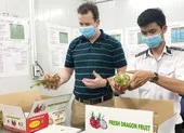 Cận tết, trái cây ngoại tăng giá mạnh ảnh 2 Nông sản Việt bán sang Mỹ vượt Trung Quốc
