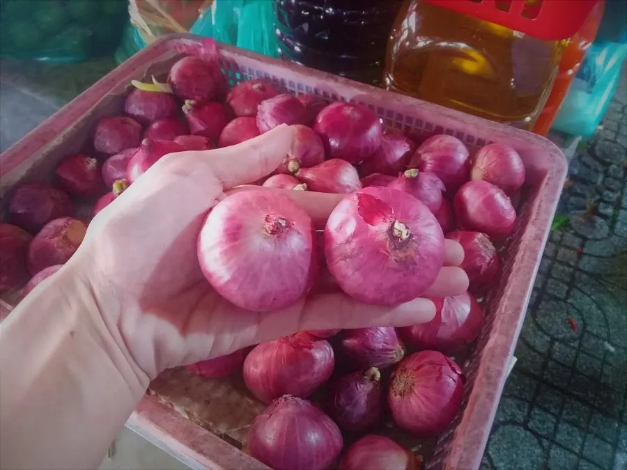 Hành tím Ấn Độ có màu sắc đẹp, củ tròn to . ẢNH: TÚ UYÊN