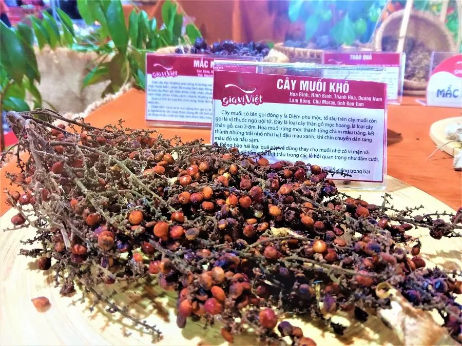 Cây muối khô được dùng tẩm ướp thịt trâu trong các lễ hội quan trọng của đồng bào các tỉnh Hòa Bình, Quảng Nam...ẢNH: TÚ UYÊN