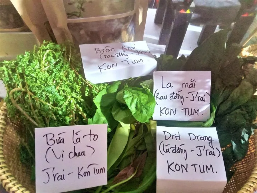 Các loại rau gia vị Kon Tum. ẢNH: TÚ UYÊN
