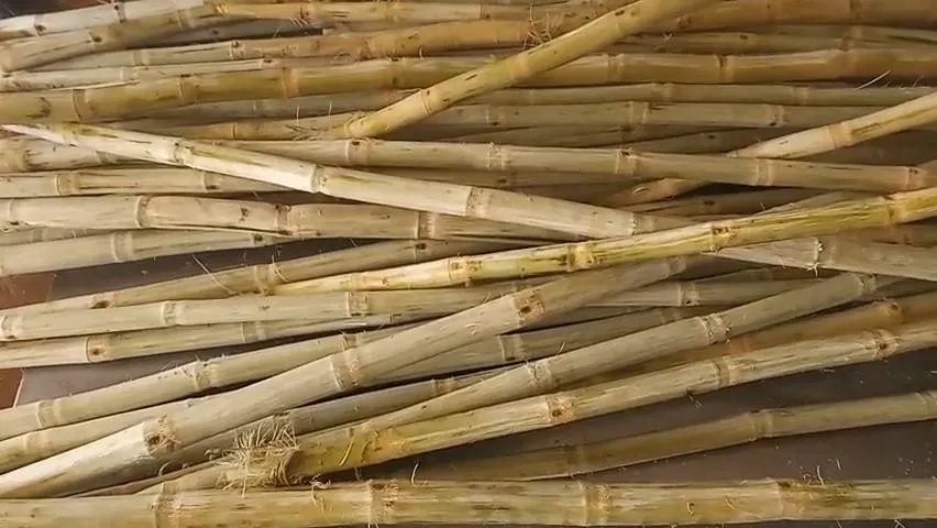 Nguồn cung mía khan hiếm nên giá tăng cao. Nguồn cung mía khan hiếm nên giá tăng cao.