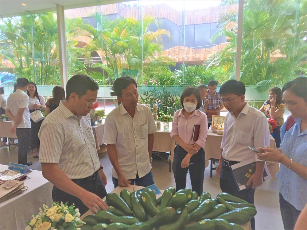 Đại diện các nhà bán lẻ TP.HCM xem xét sản phẩm bơ 034 của HTX Đồng Lợi. ẢNH: TÚ UYÊN