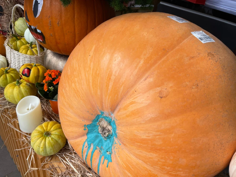 Bí ngô trang trí sẵn bày bán ở cửa hàng hoa