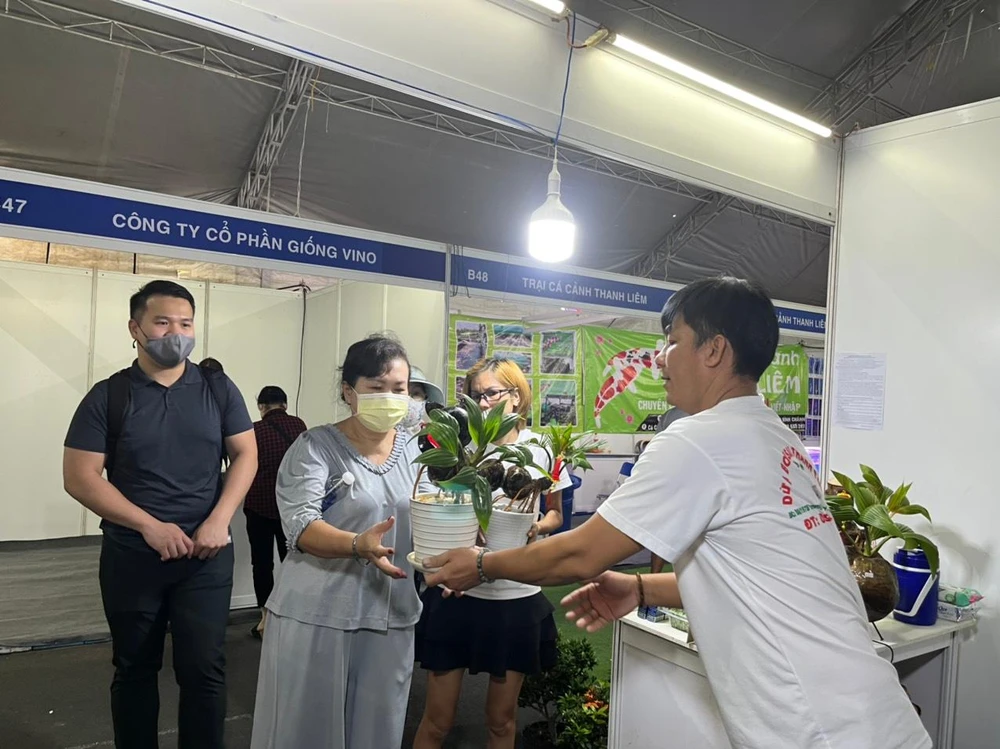 Dừa bonsai mang ý nghĩa tài lộc phù hợp trưng bày dịp Tết được khách tham quan quan tâm