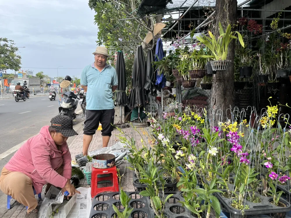 Bên cạnh hoa lan cao cấp, giò lan có giá 60.000 đồng được người dân chọn mua