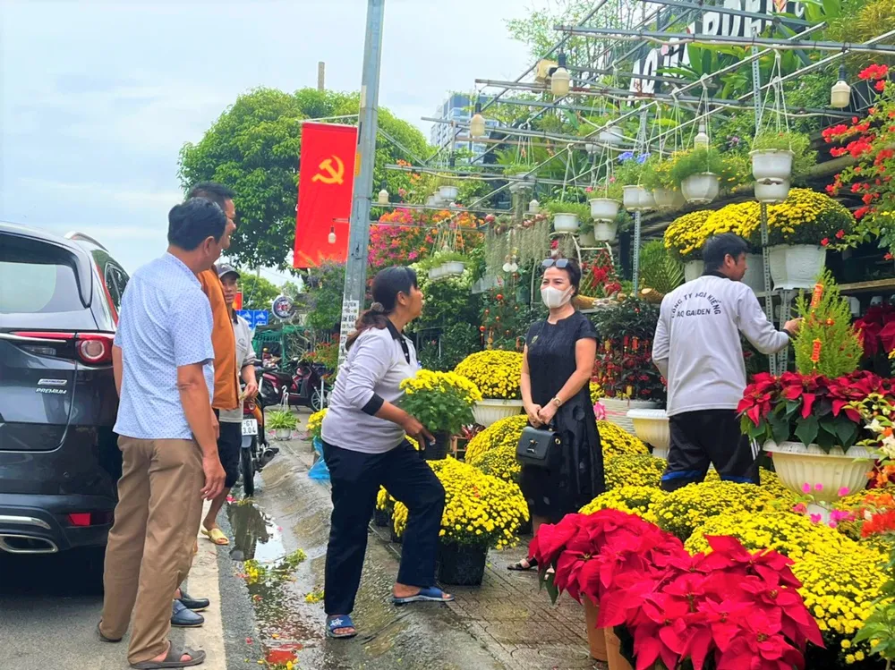 Người dân đang chọn mua hoa cúc mâm xôi và cây kiểng